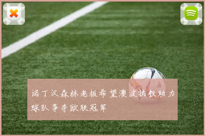 诺丁汉森林老板希望澳波执教助力球队争夺欧联冠军