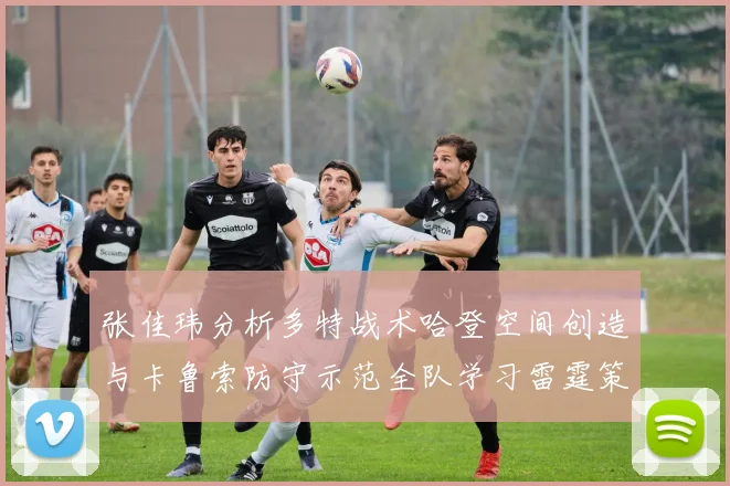 张佳玮分析多特战术哈登空间创造与卡鲁索防守示范全队学习雷霆策略