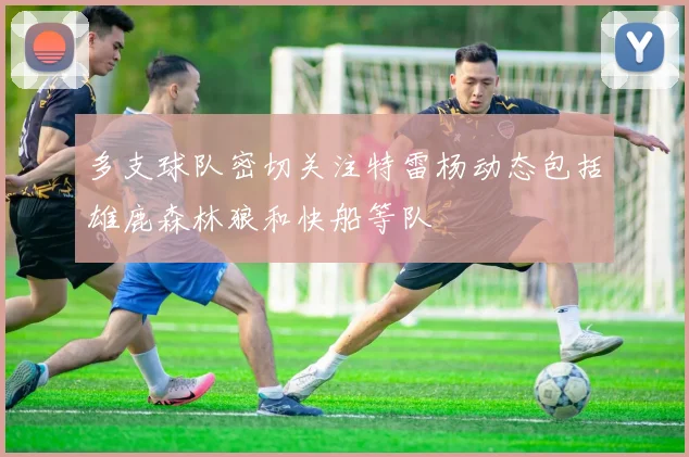 多支球队密切关注特雷杨动态包括雄鹿森林狼和快船等队