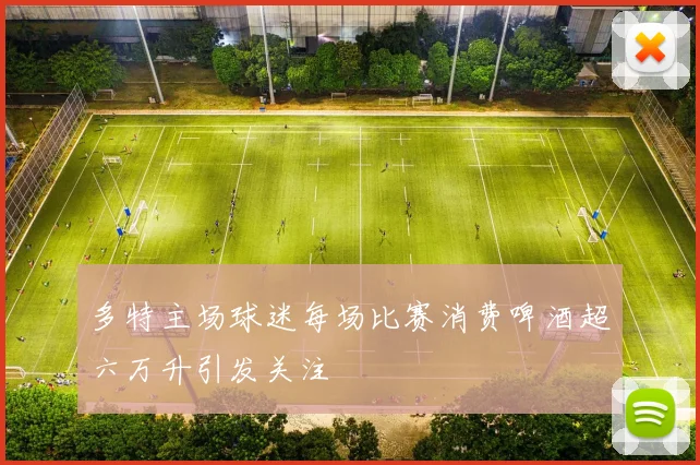 多特主场球迷每场比赛消费啤酒超六万升引发关注